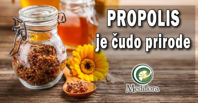 Propolis deluje protiv virusa