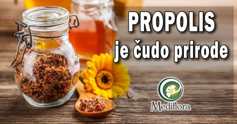 Propolis-je-čudo-prirode Propolis deluje protiv virusa