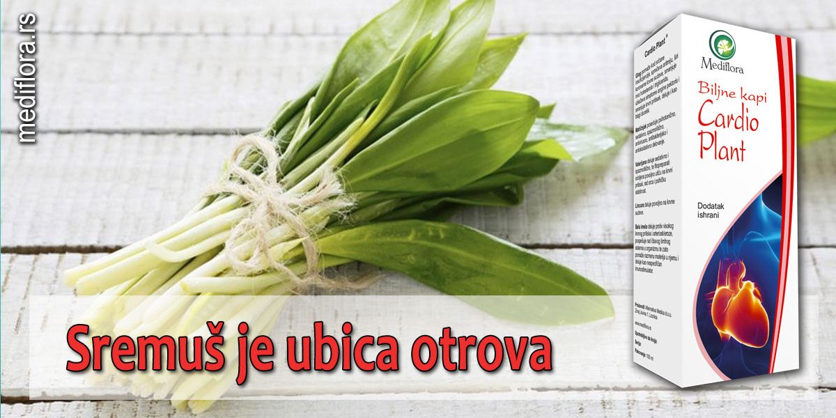 Sremuš-je-ubica-otrova Sremuš