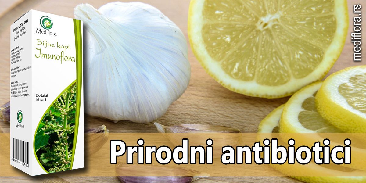 Prirodni-antibiotici Prirodni antibiotici