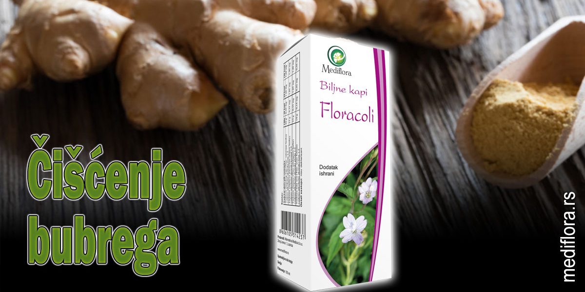 Čišćenje-bubrega Čišćenje bubrega