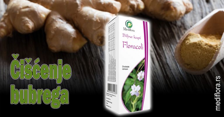 Čišćenje bubrega
