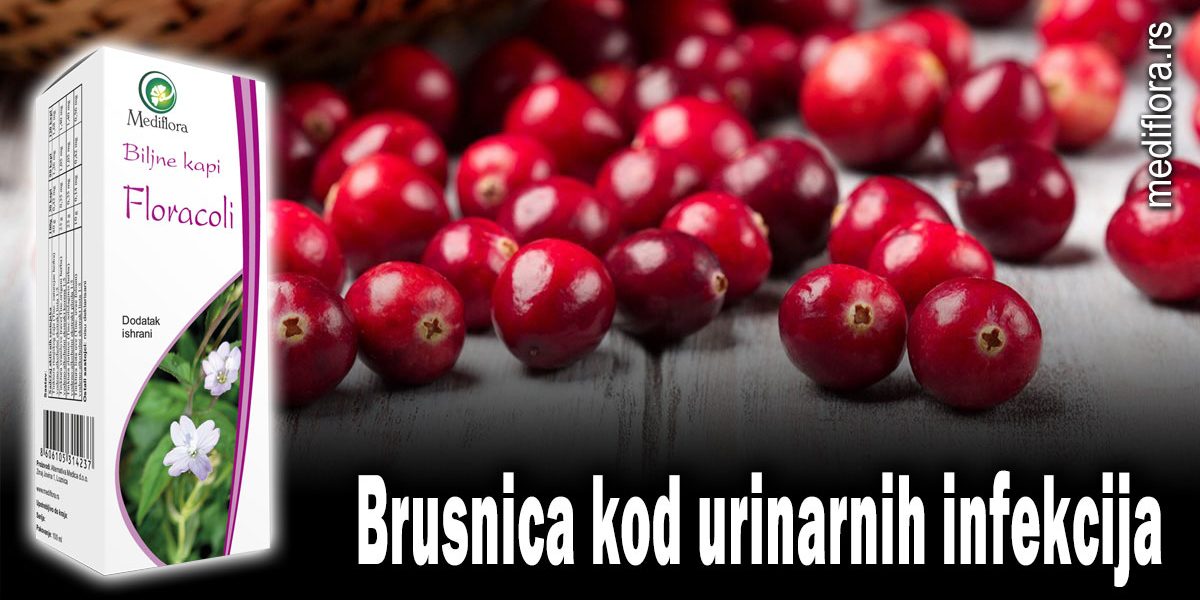 Brusnica
