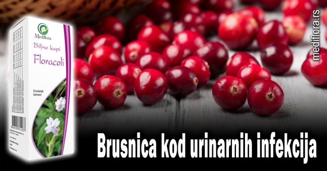 Brusnica-kod-urinarnih-infekcija Brusnica