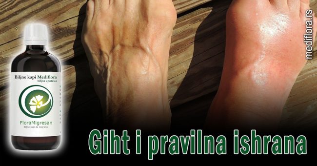 Giht-i-pravilna-ishrana Giht je bolest