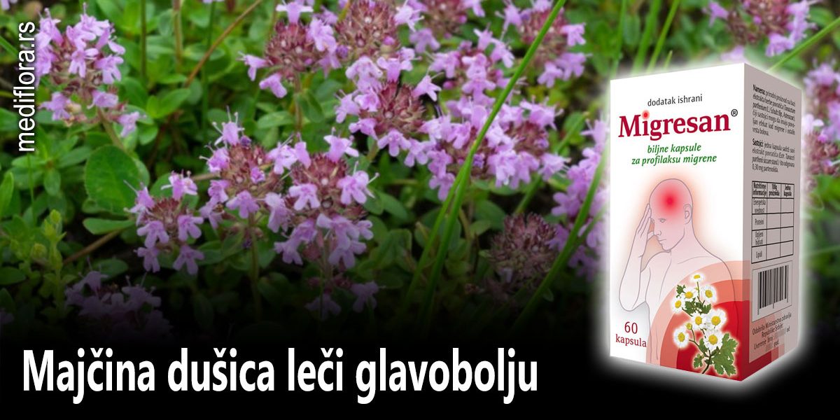 Majčina dušica leči glavobolju