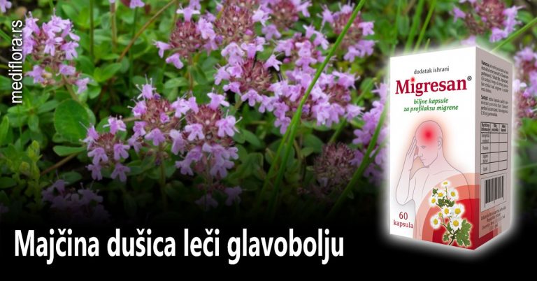 Majčina-dušica-leči-glavobolju Majčina dušica leči glavobolju