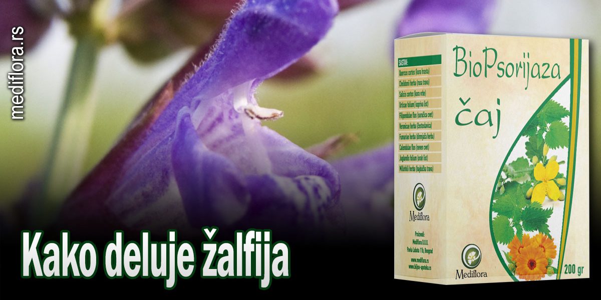 Kako deluje žalfija