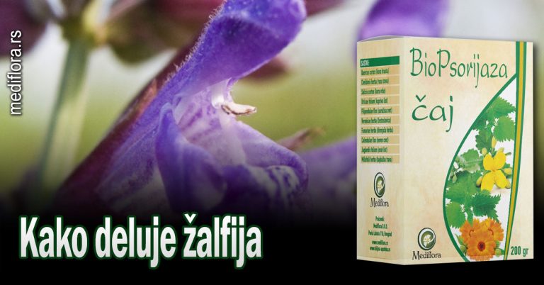 Kako-deluje-žalfija Kako deluje žalfija