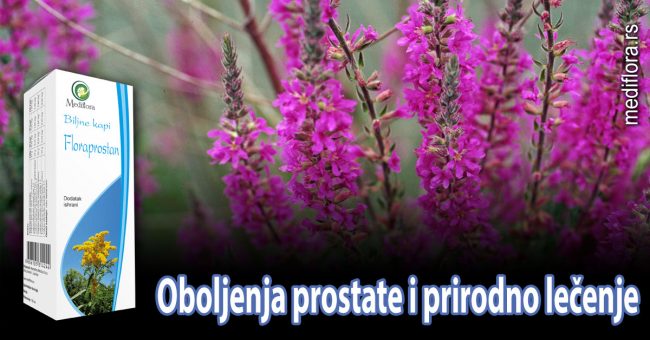 Oboljenja-prostate-i-prirodno-lečenje Oboljenja prostate