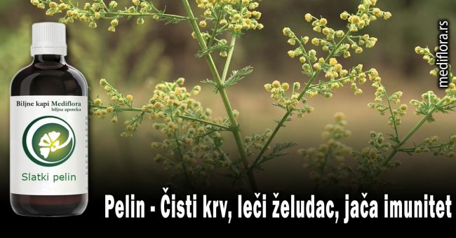 Pelin - Čisti krv