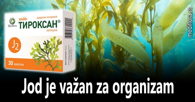 pravilan rad štitne žlezde