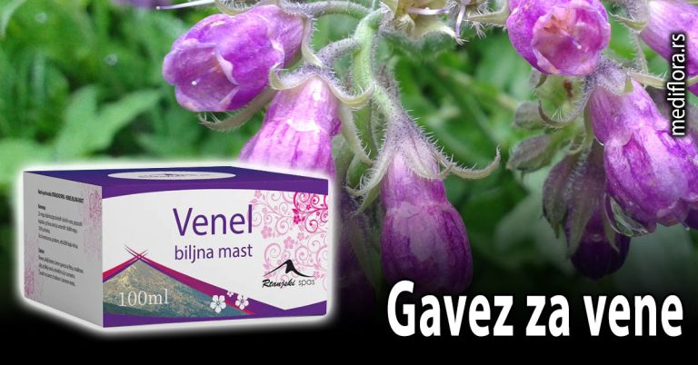Gavez-za-vene