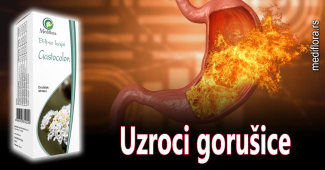 Uzroci gorušice