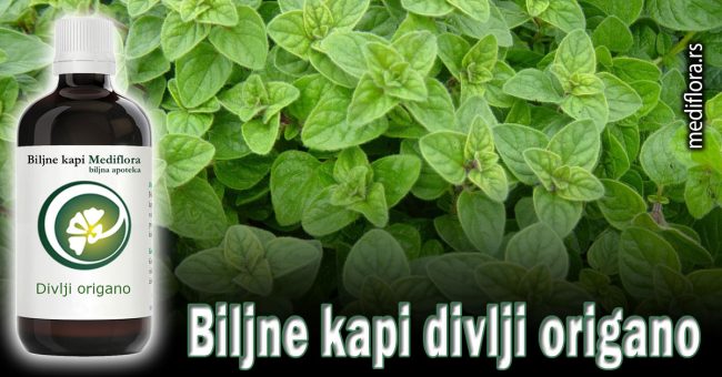Biljne-kapi-divlji-origano Biljne kapi divlji origano