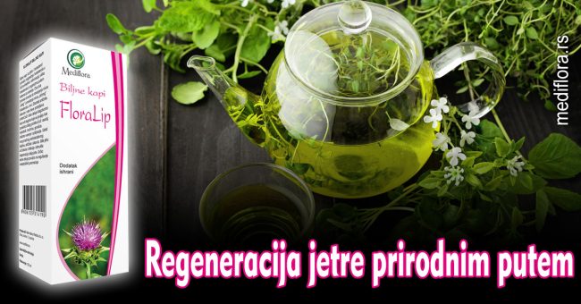 Regeneracija-jetre-prirodnim-putem Regeneracija jetre prirodnim putem