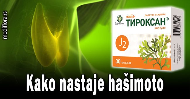 Kako nastaje hašimoto