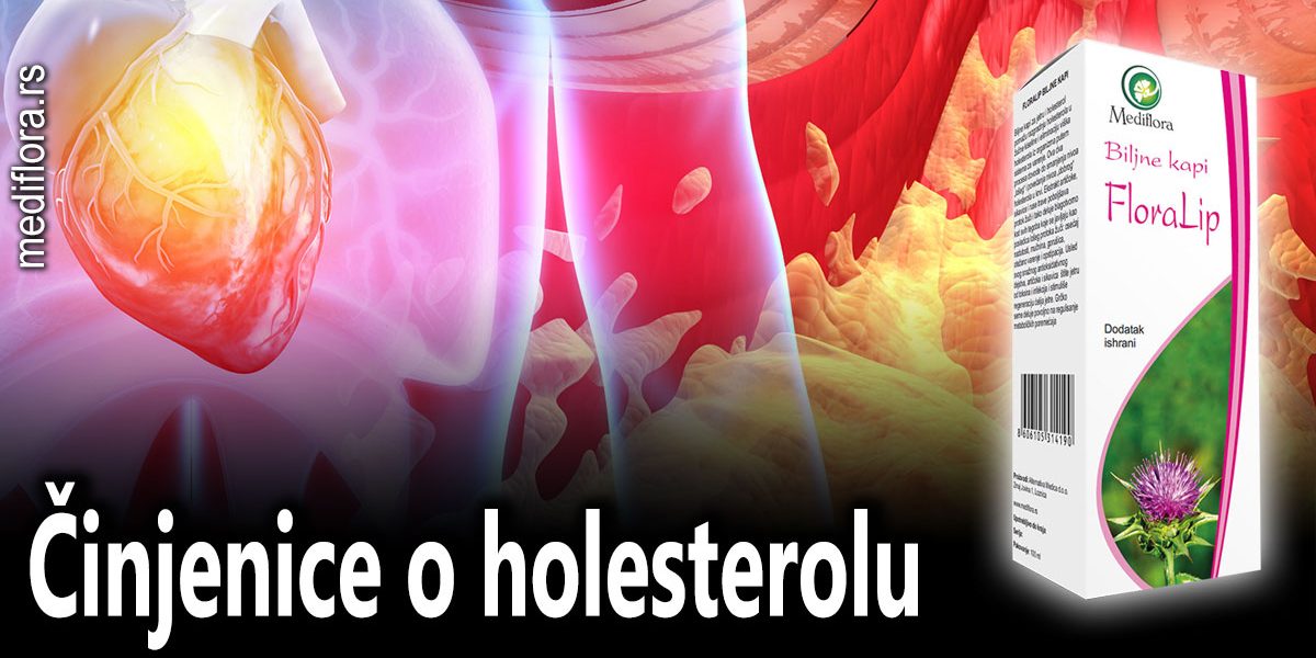 Činjenice o holesterolu