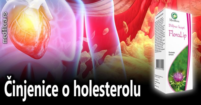 Činjenice o holesterolu