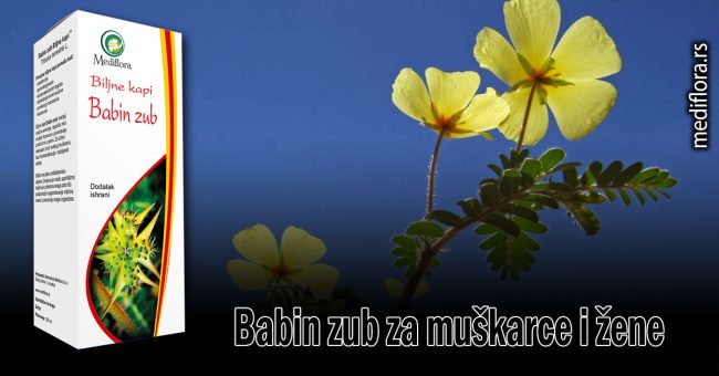 Babin-zub-za-muškarce-i-žene Babin zub za muškarce i žene