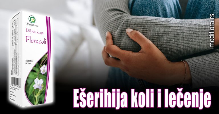 Ešerihija koli i lečenje