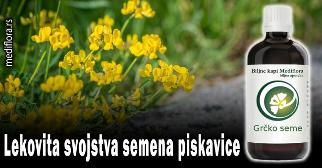 Lekovita-svojstva-semena-piskavice Lekovita svojstva semena piskavice