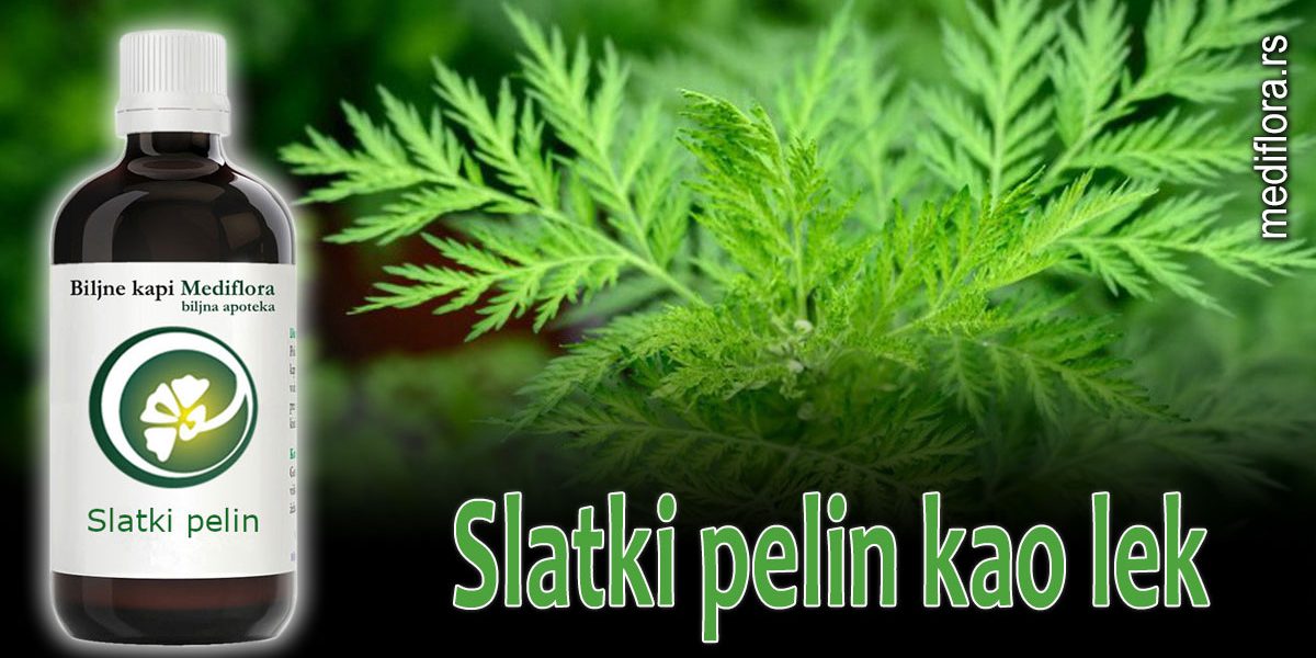 Slatki pelin kao lek