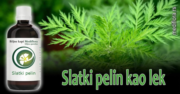 Slatki pelin kao lek