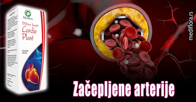 Začepljene arterije