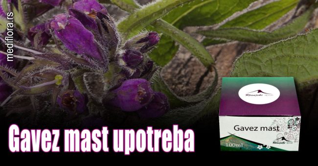 Gavez-mast-upotreba Gavez mast upotreba