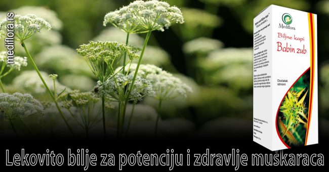 Lekovito-bilje-za-potenciju-i-zdravlje-muškaraca Lekovito bilje za potenciju i zdravlje muškaraca