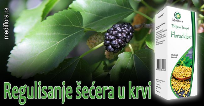 Regulisanje-šećera-u-krvi Regulisanje šećera u krvi
