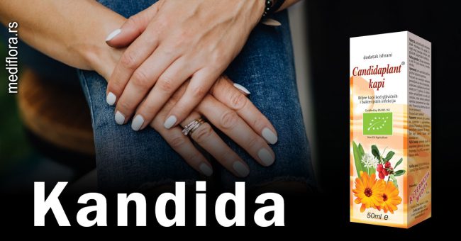 Kandida Kandida