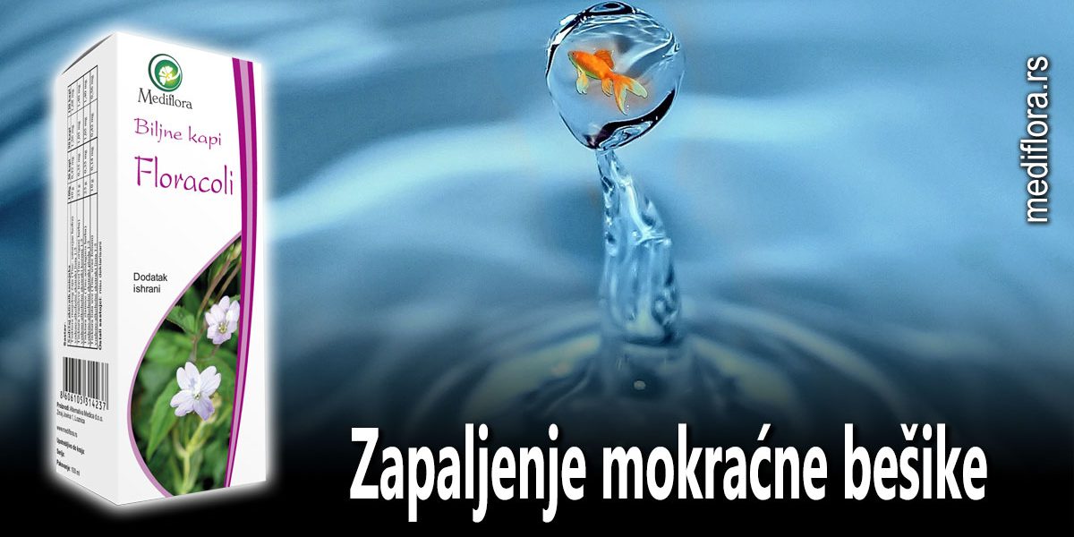 Zapaljenje mokraćne bešike