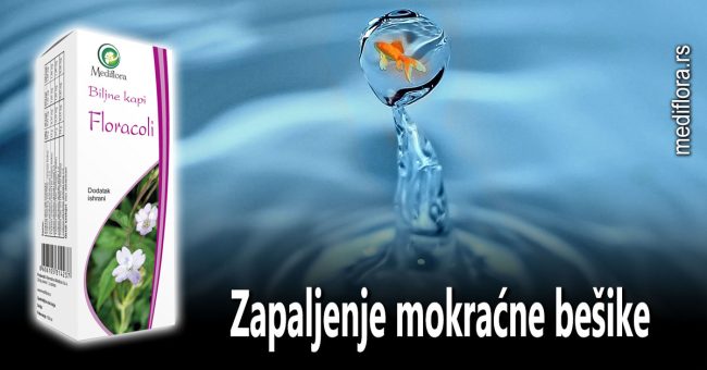 Zapaljenje-mokraćne-bešike Zapaljenje mokraćne bešike