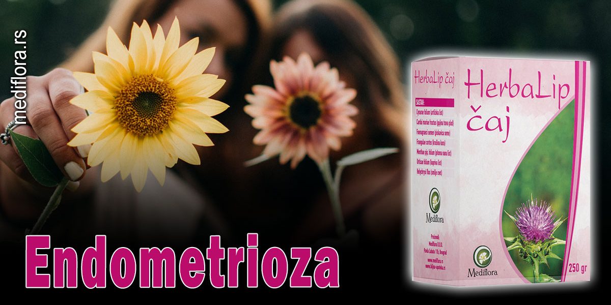 Endometrioza Endometrioza