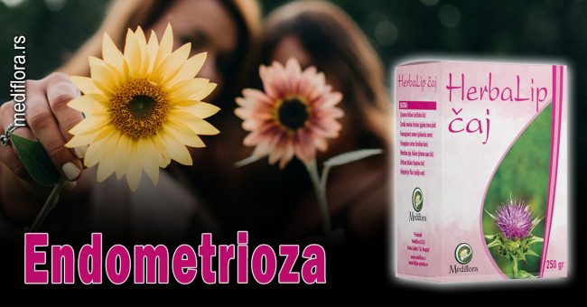 Endometrioza Endometrioza