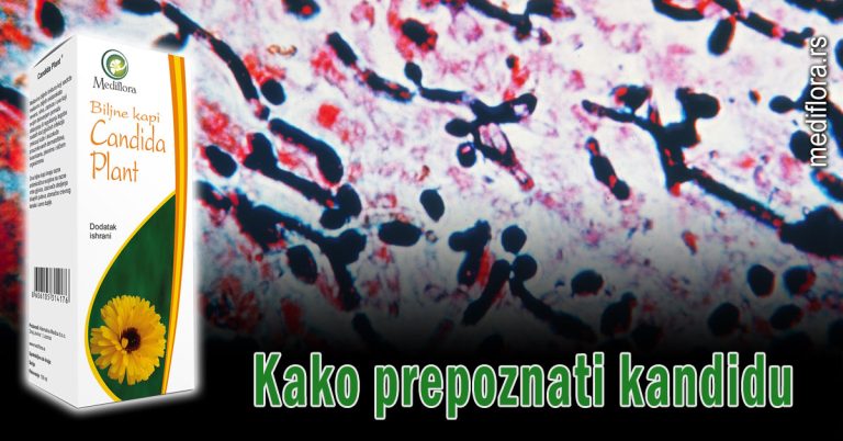 Kako-prepoznati-kandidu Kako prepoznati kandidu