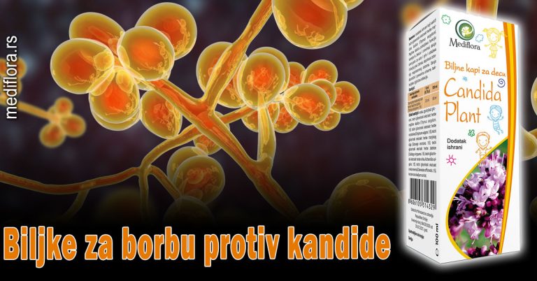 Biljke-za-borbu-protiv-kandide Biljke za borbu protiv kandide
