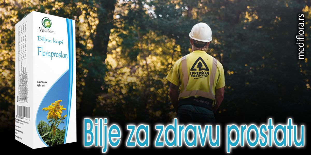 Bilje-za-zdravu-prostatu Bilje za zdravu prostatu