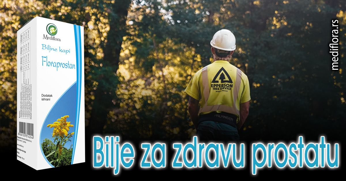 Bilje Za Zdravu Prostatu - Mediflora