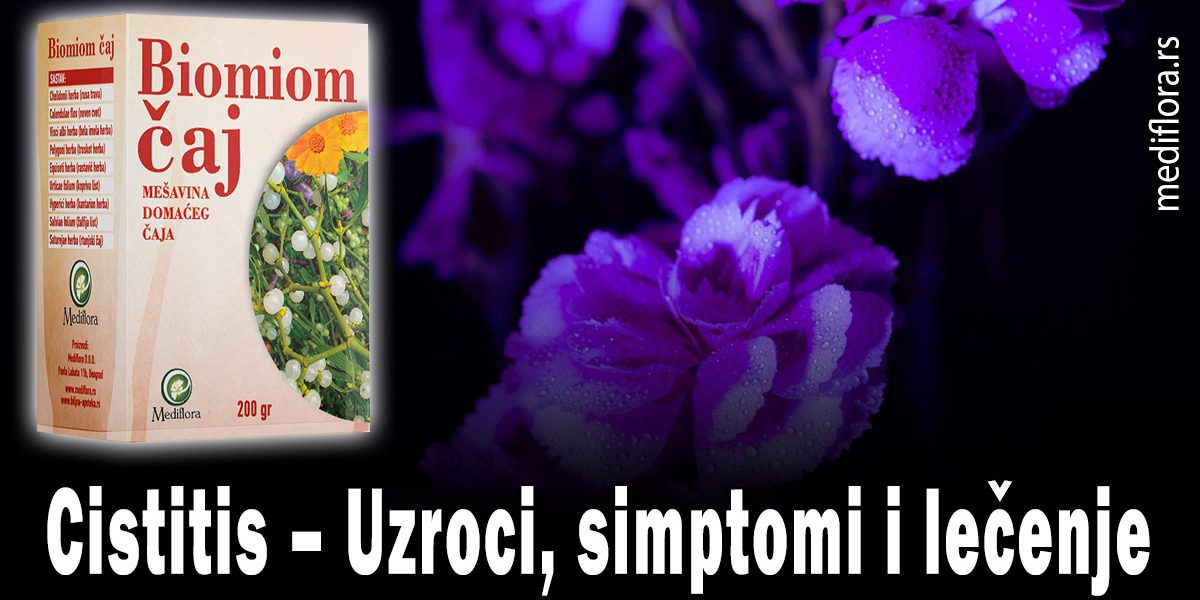 Cistitis-–-Uzroci,-simptomi-i-lečenje Cistitis – Uzroci, simptomi i lečenje