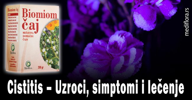 Cistitis – Uzroci, simptomi i lečenje