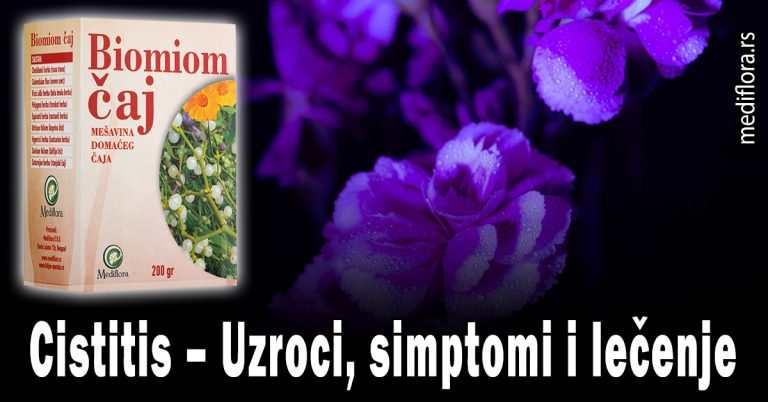 Cistitis-–-Uzroci,-simptomi-i-lečenje Cistitis – Uzroci, simptomi i lečenje