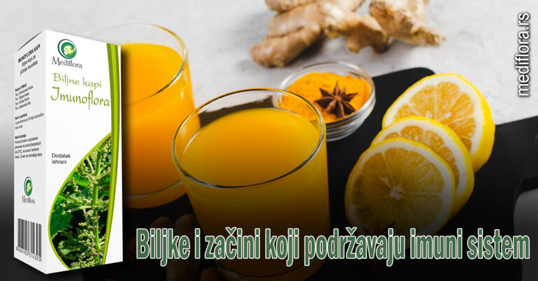 Biljke-i-začini-koji-podržavaju-imuni-sistem imuni sistem