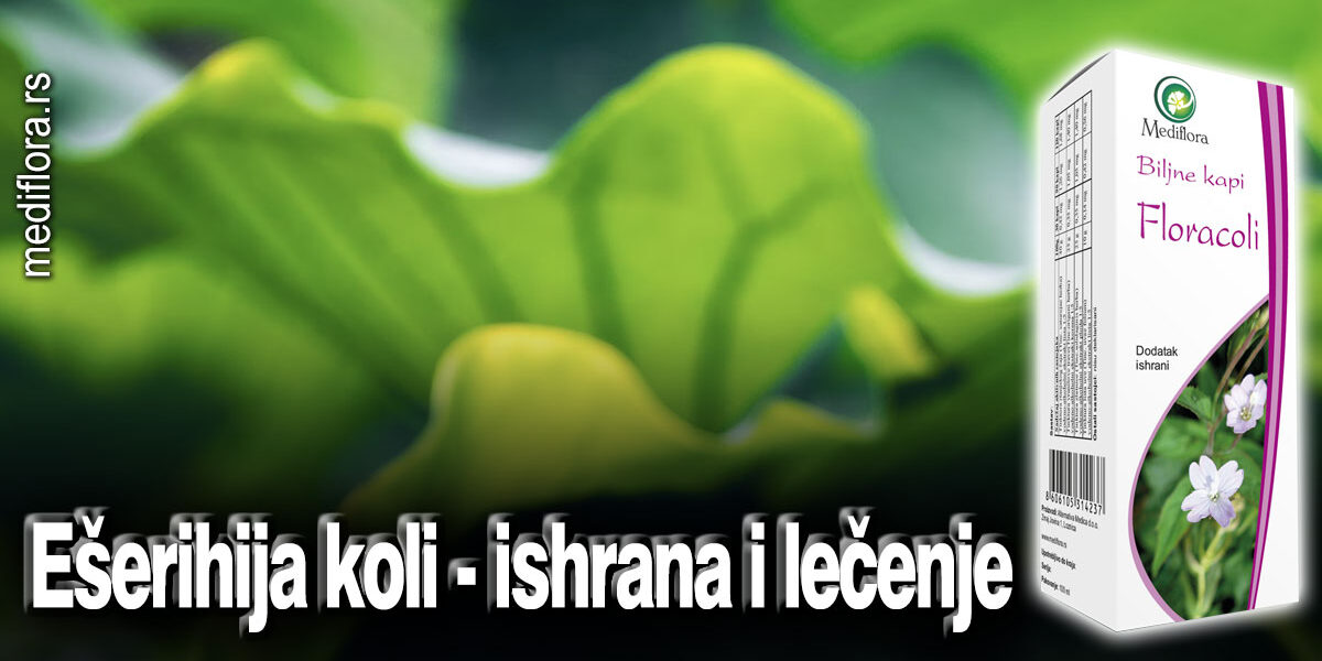 Ešerihija-koli—ishrana-i-lečenje Ešerihija koli - ishrana i lečenje