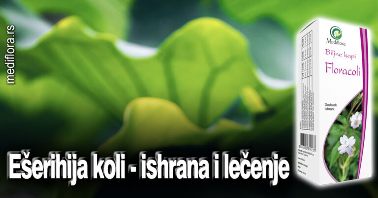 Ešerihija koli - ishrana i lečenje