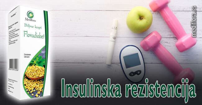 Insulinska rezistencija