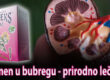 Kamen u bubregu - prirodno lečenje