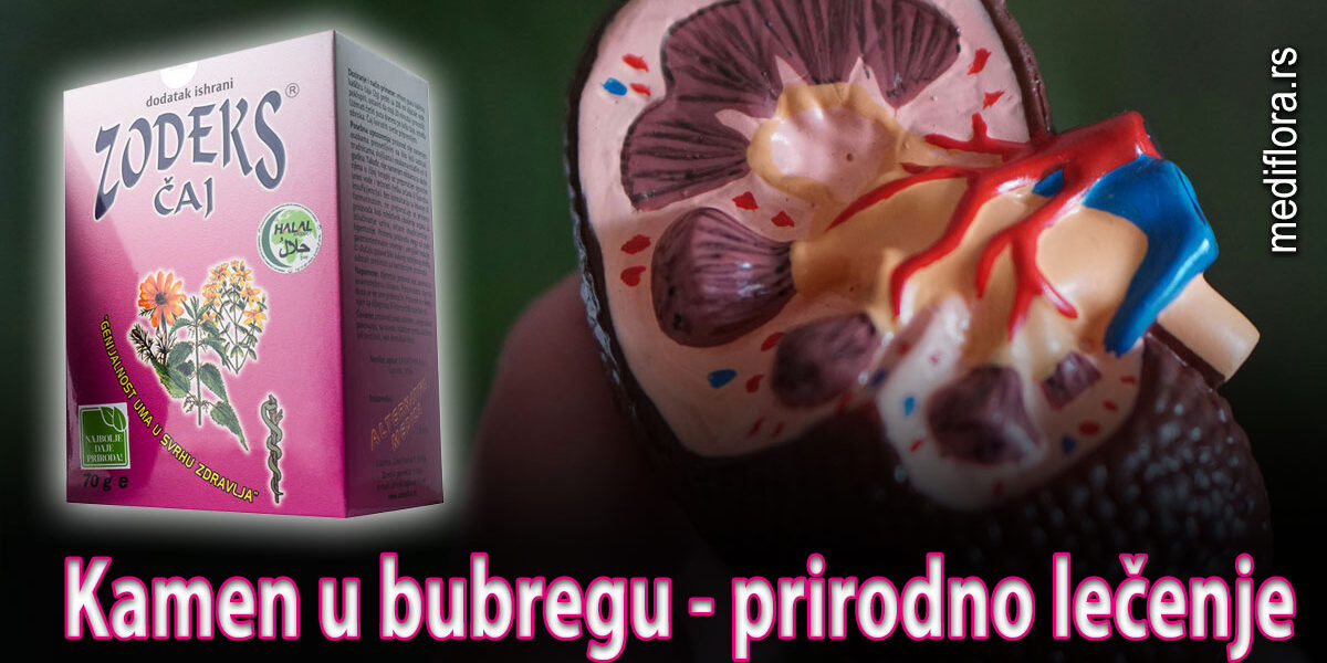 Kamen-u-bubregu—prirodno-lečenje Kamen u bubregu - prirodno lečenje